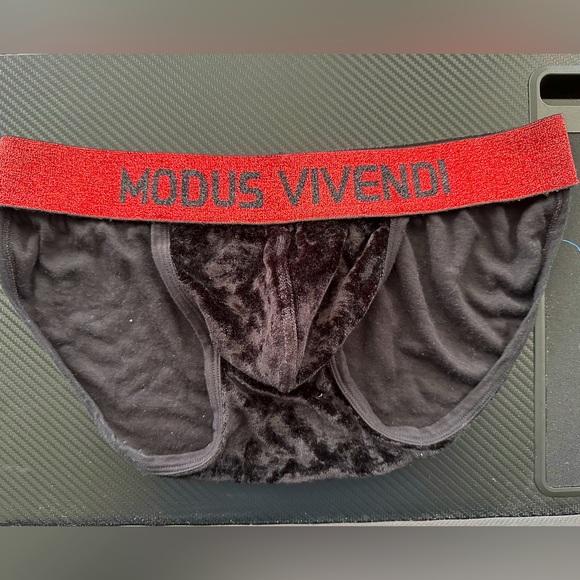 Modus Vivendi Underwear & Socks Modus Vivendi Velour Brief Poshmark